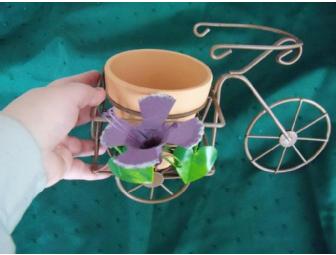 Gardening Supplies Special - includes a 'true temper' homeowner wheelbarrow