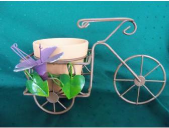 Gardening Supplies Special - includes a 'true temper' homeowner wheelbarrow