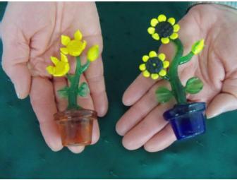 Gardening Supplies Special - includes a 'true temper' homeowner wheelbarrow