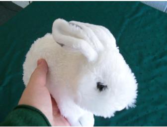 Children's Basket includes a coupon for a free large pizza at Papa Gino's