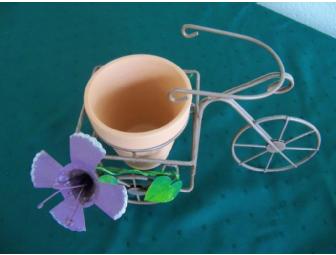 $50 gift certificate to Hillside Florist along with a garden basket