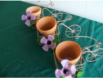 $50 gift certificate to Hillside Florist along with a garden basket