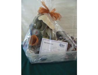 $50 gift certificate to Hillside Florist along with a garden basket