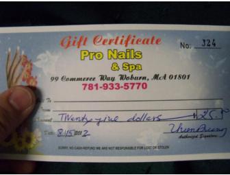 $25 Pro Nails & Spa gift certificate with a Christmas gift Basket
