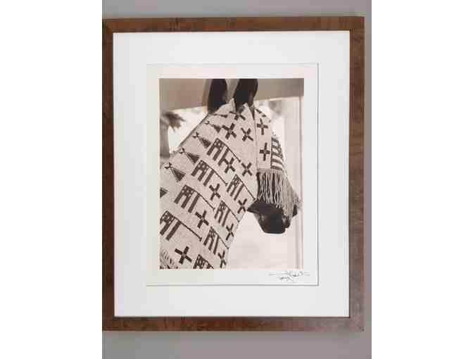Tony Kent, Arabian Horse 1993