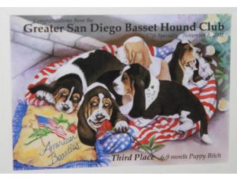 Pam Tanzey Greater San Diego Basset Hound Club Prints