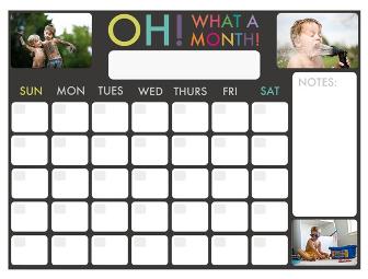 Speckled Paw Photography Gift Package