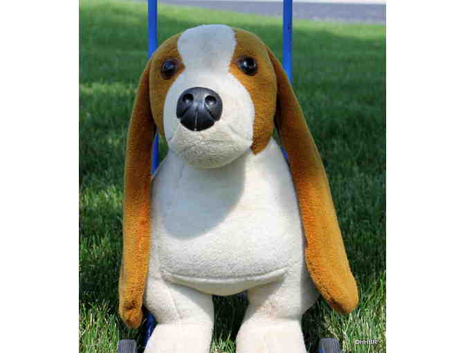 RARE ANTIQUE Push Along Basset Hound Riding Toy