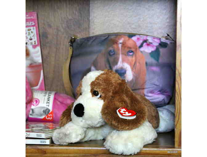 Little Girls and Her Hound Package of Love