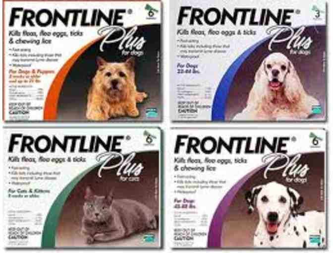 DONATE A FOSTER HOUNDS MONTHLY HW/FLEA MEDS