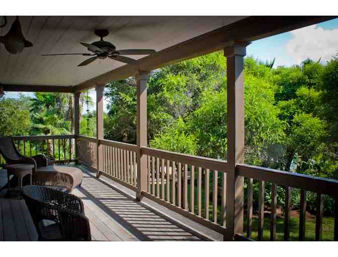 2-Night Stay - Birdwatcher Paradise - Inn at Chachalaca Bend - Los Fresnos, Texas