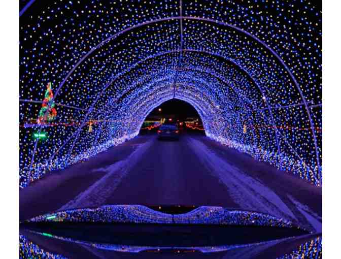 Morton Arboretum Tree Lights - 2 Gift Certificates