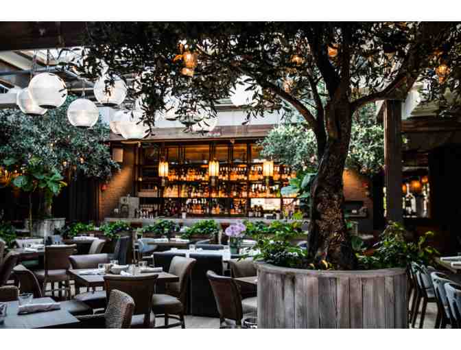 Lettuce Entertain You - Aba, Beatrix, and More - $100 Gift Certificate