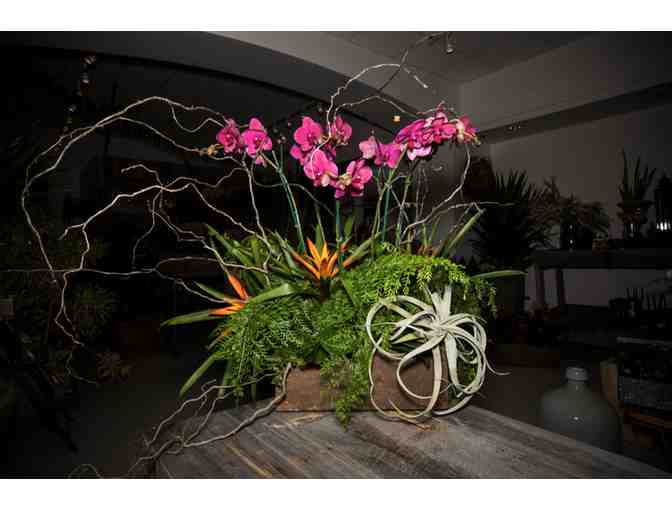 $50 Gift Certificate to The Botanist