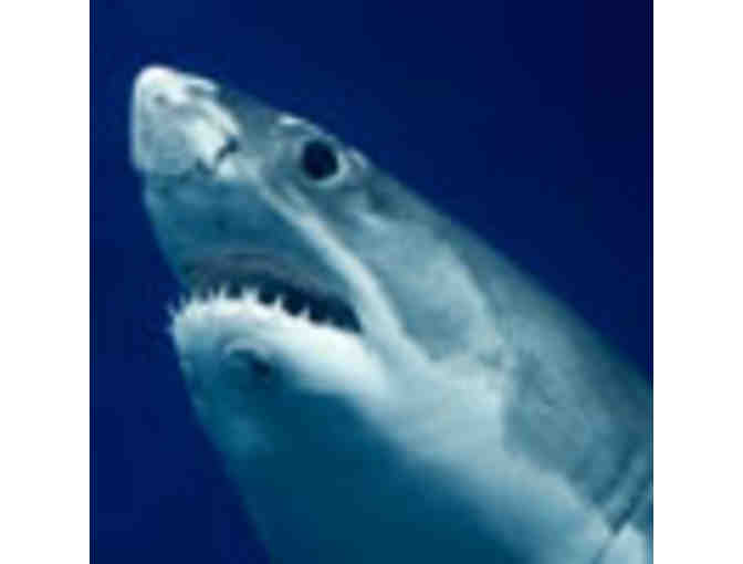 Monterey Bay Aquarium - 4 tix and special tour