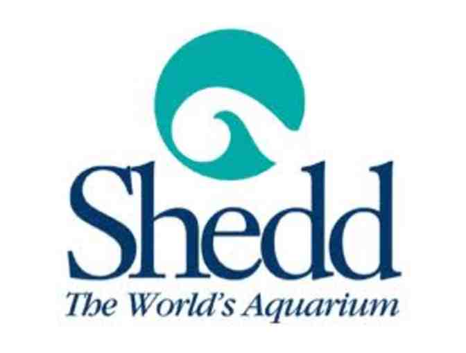 Shedd Aquarium - Four (4) General Admission Tickets