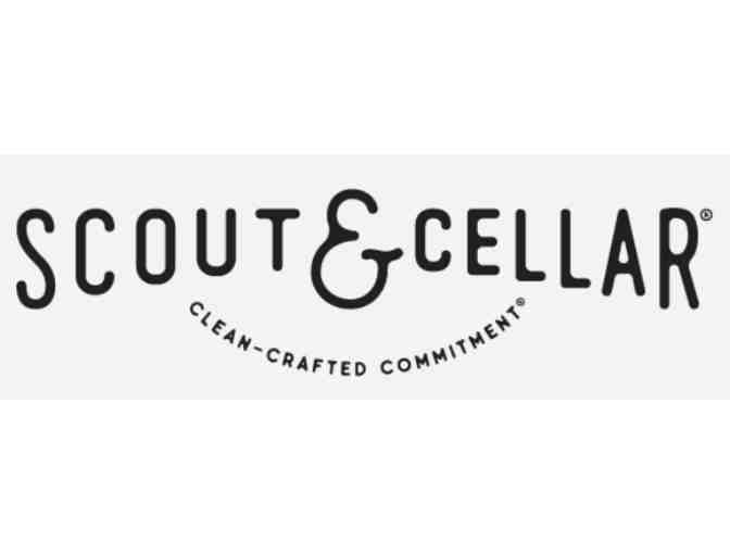 Scout and Cellar Wine!