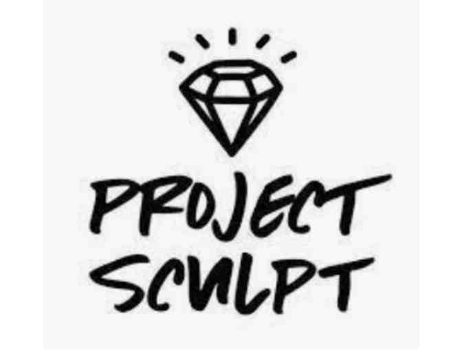 Project Sculpt - 5 Class Pack
