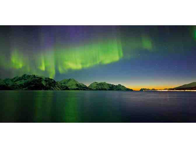 Norway Northern Lights Cruise