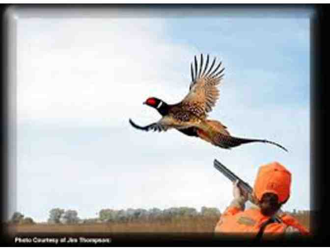 EUROPEAN PHEASANT HUNT FOR TWO in Northwestern New Jersey