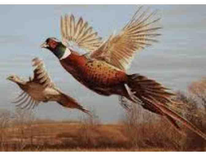 EUROPEAN PHEASANT HUNT FOR TWO in Northwestern New Jersey