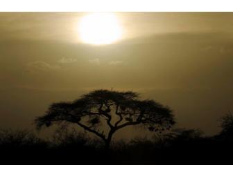 Sunset Near Kilimanjaro' J Loren Photography