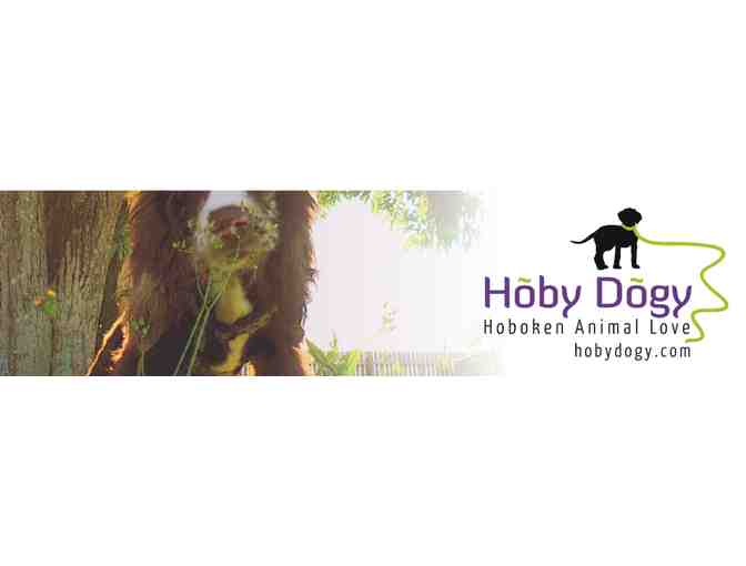 Hoby Dogy Pet Care for your beloved Dog