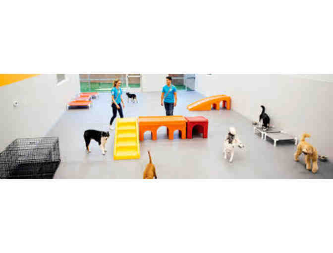 Dogtopia South Bay 5-day Daycare and Bath