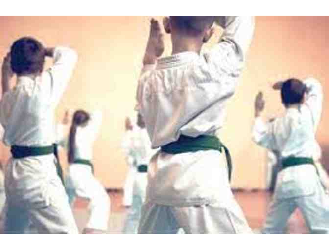Karate Training - One Month
