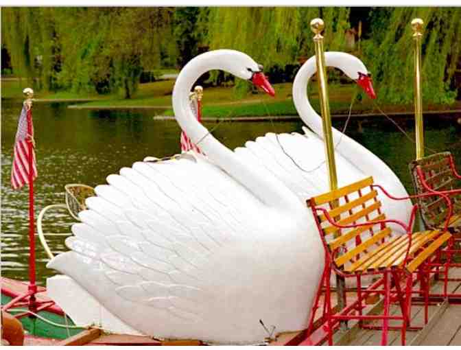 10 Complimentary Swan Boat Rides