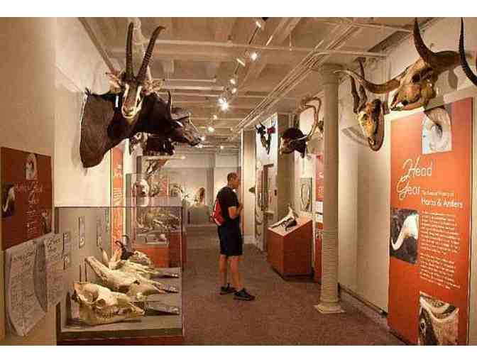 4 Harvard Museum of Natural History Passes