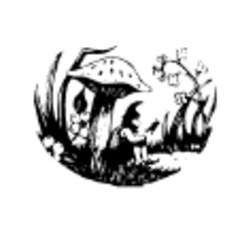 The Toadstool Bookshops