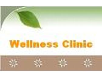 Bodywork for PAIN RELIEF - The Wellness Clinic