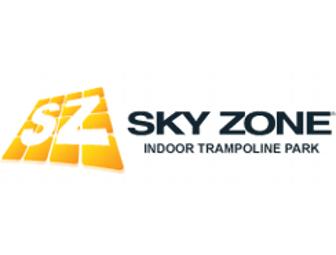 Sky Zone - Passes