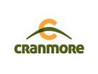 4 Passes to Cranmore for Summer 2013