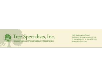Tree Care Consultation by Tree Specialists, Inc.