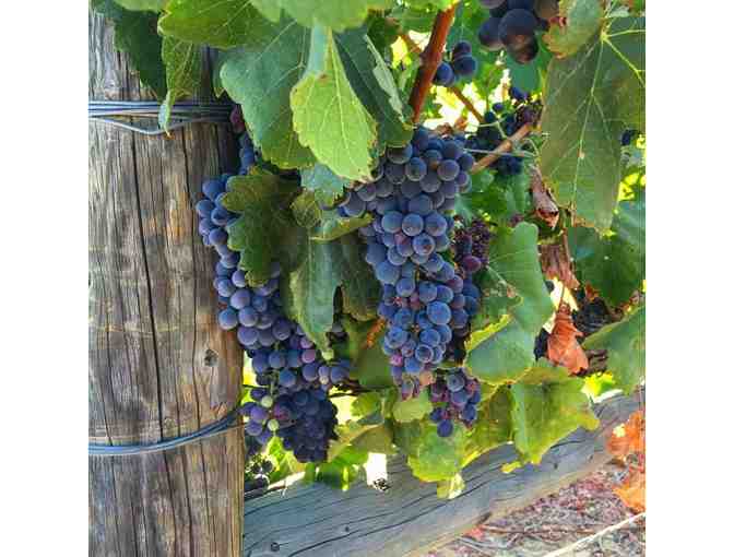 South Coast Winery & Resort and Spa Package