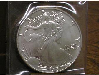 American Silver Eagle Dollar Coin