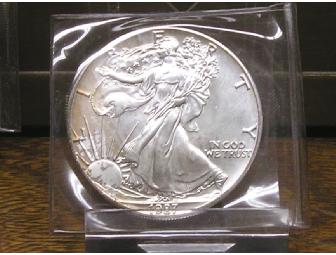 American Silver Eagle Dollar Coin