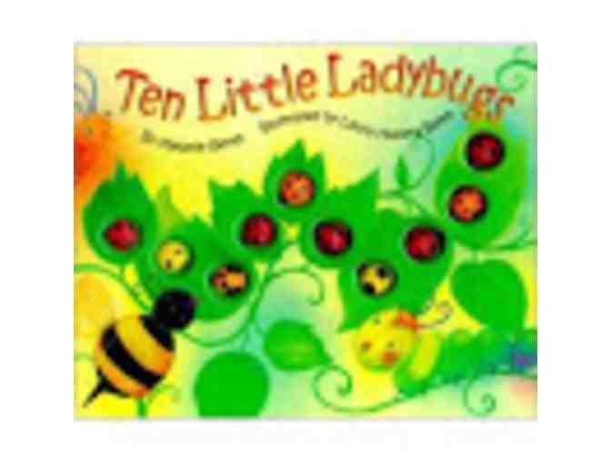 Folkmanis Ladybug Puppet and 'Ten Little Ladybugs' Book