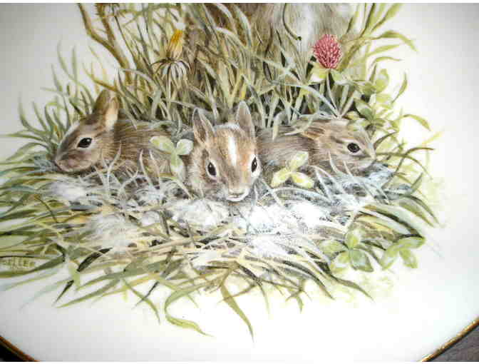 Array of Easter Decorations