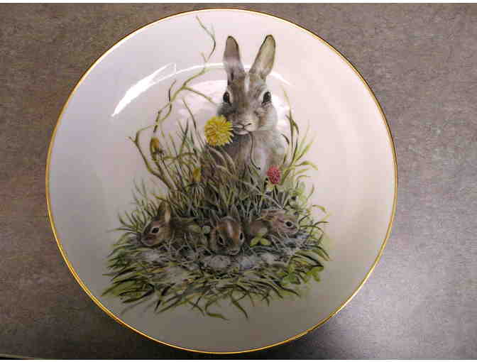 Array of Easter Decorations