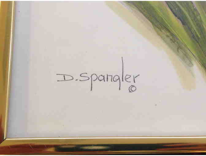 Framed Pictures by Dorothy Spangler