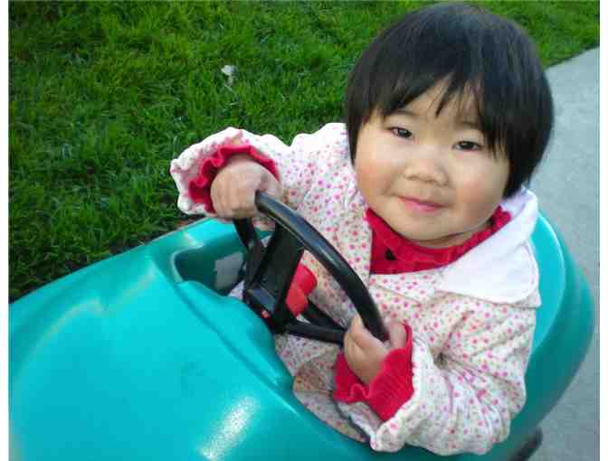 Sisters of the Holy Family Ministries