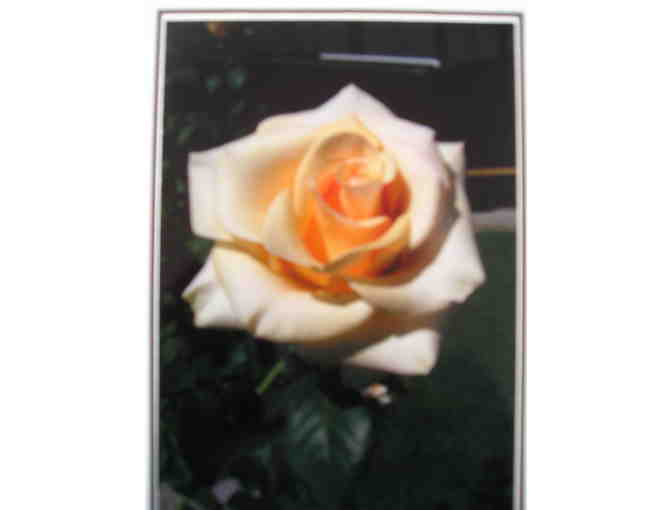 Specialty Cards of Roses at Palmdale Estates