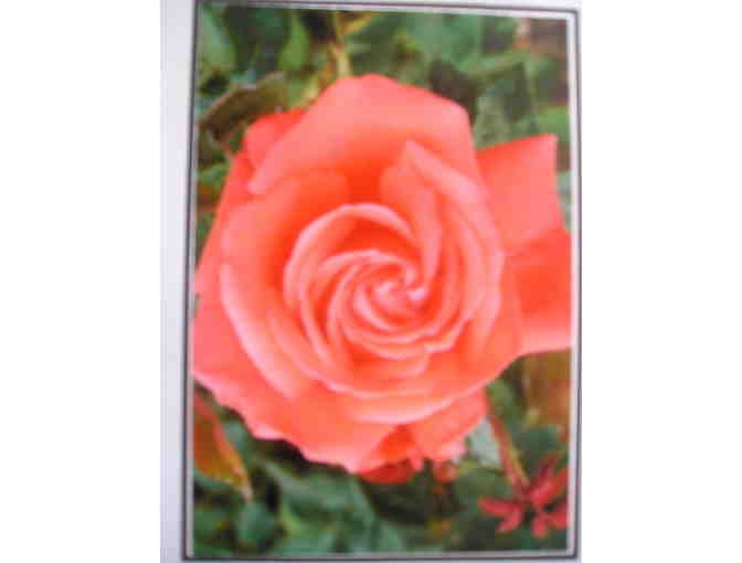 Specialty Cards of Roses at Palmdale Estates