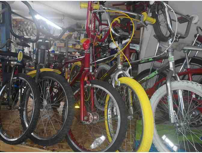 Bicycle Tune Up from Fire Bird Bicycle Shop