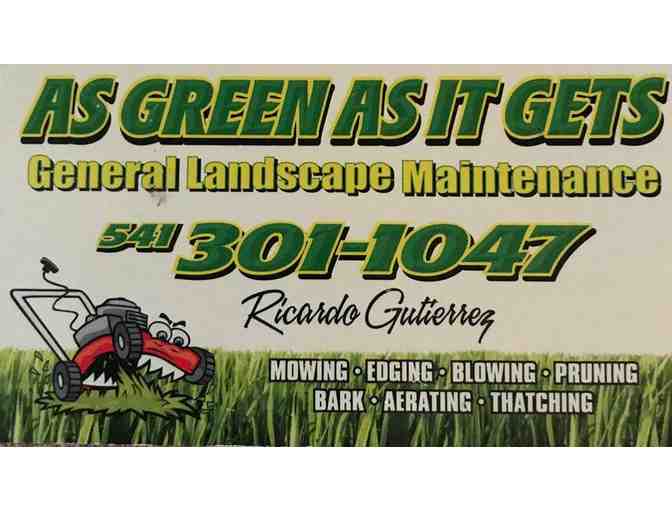 As Green As It Gets - 1 Month of Lawn Care Valued up to $200