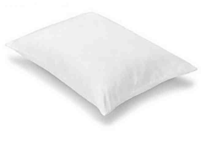 Mattress Firm - 2 Memory Foam Pillows