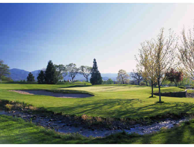 Quail Point Golf Course - Round of Golf with a Cart each Month for a Year